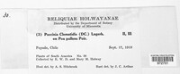 Image Associated With the Occurence